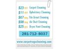 Carpet Rugs Cleaning Spring