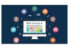 Looking for Professional Website Design & Development Services?