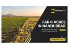 Grab Agricultural Land in Nandurbar — Secure Verified Farm Acres | Propertzz