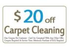 Pro Carpet Cleaning Spring